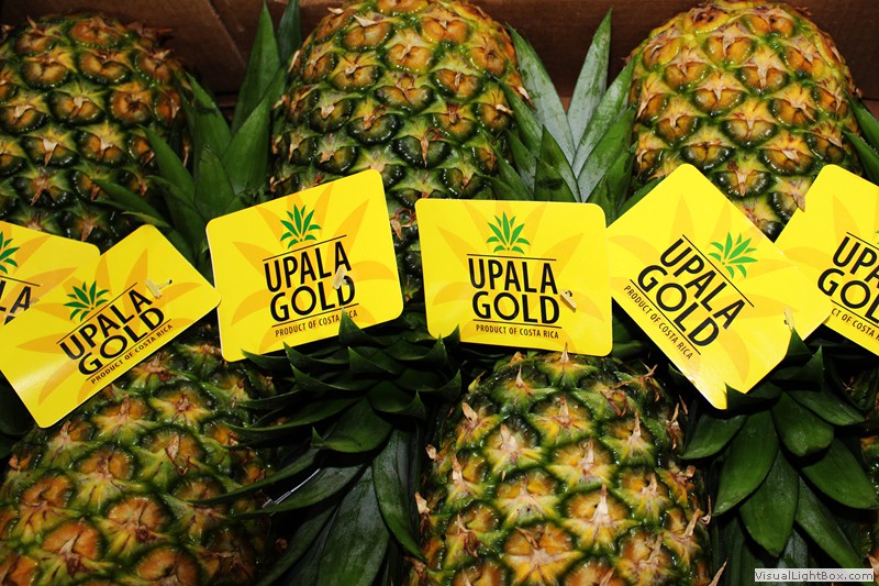 Exportación de piña | Genially
